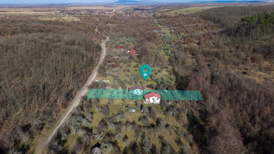 Cabană deosebită cu 4 camere în Căsoaia