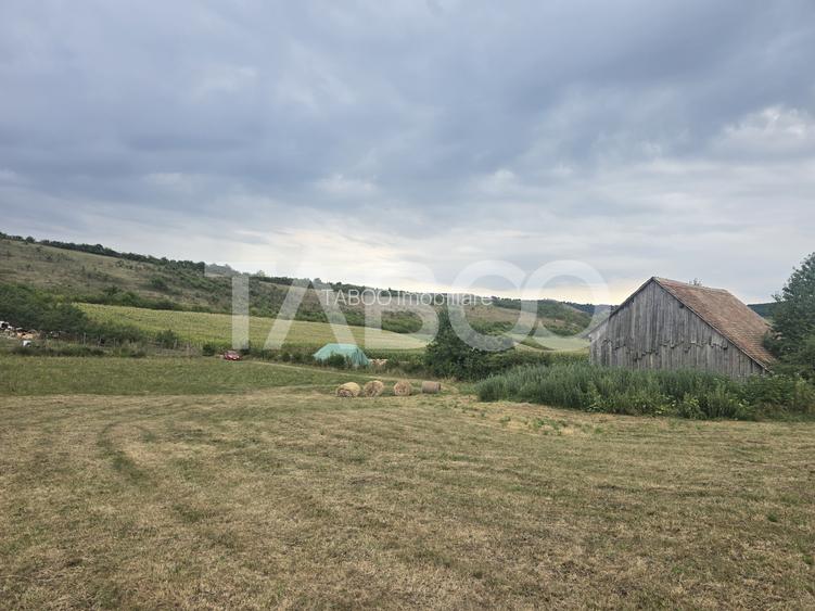 Teren de vanzare 8700 mp cu un front de 30m in Sura Mare - 7