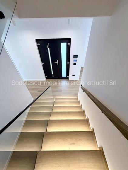 PROIECT DEOSEBIT ZONA LIPOVEI - 26