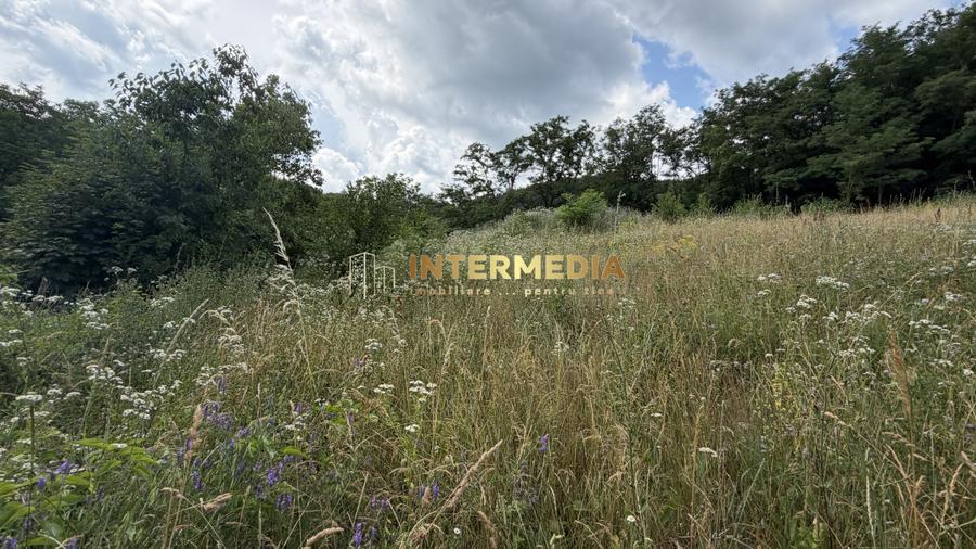 TEREN Intravilan 1257 mp Liziera Pădurii Meteș Platou Cabană la 15 km Alba Iulia