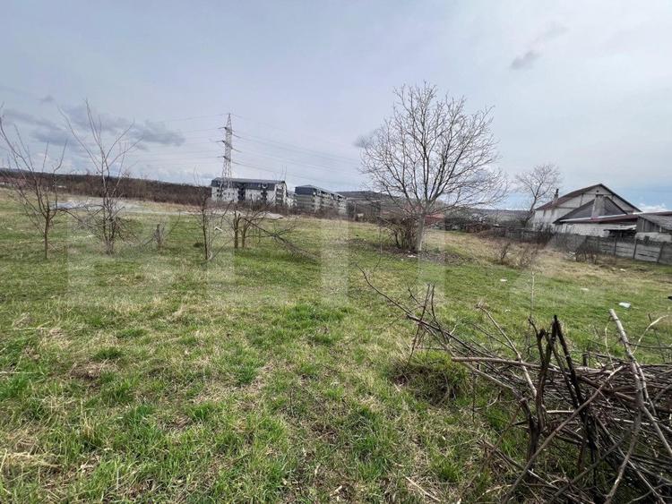 Teren Intravilan de vanzare, 4400 mp, zona Viisoara
