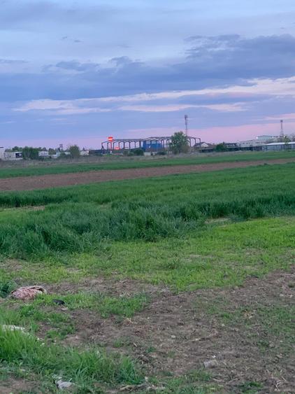 Afumati  Vanzare  teren intravilan/extravilan
