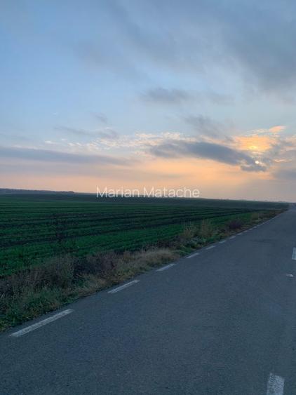 Teren intravilan parcelat 31000m2