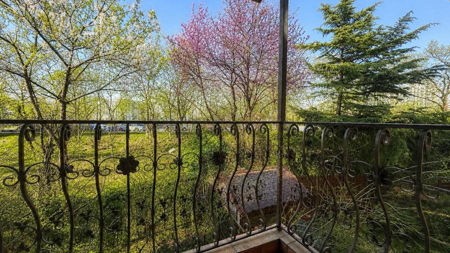 REC3001783 Vila 7 camere Floreasca spatiu birouri
