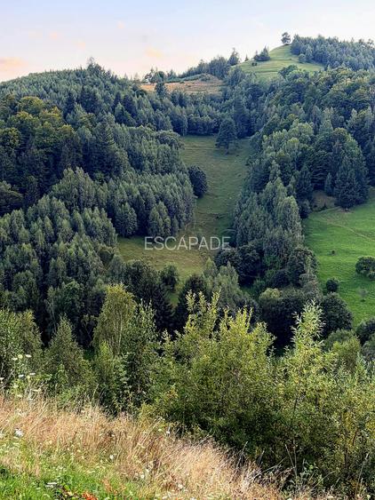 Teren extravilan 8635 mp, Pestera /Brasov - 8