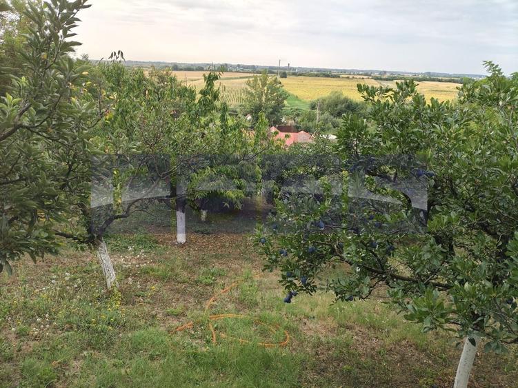 VANZARE CASA PARTER | CENTRALA PROPRIE | ZONA DRAGODANA - 17