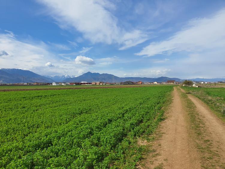 Teren Brasov-Tarlungeni zona Izvor pretabil investitii
