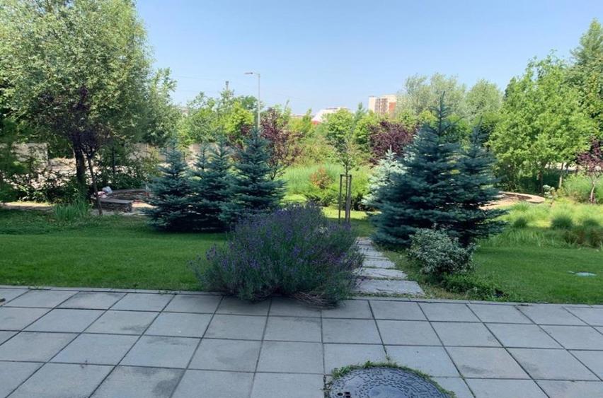 Birouri de inchiriat zona Barbu Vacarescu