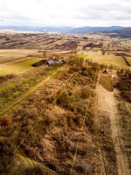 RECO Teren 5361 mp, Vadu Crișului, teren generos