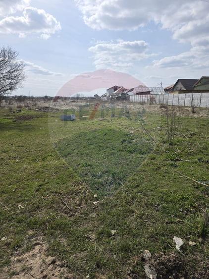 Teren Balotesti Dumbraveni 16.700 mp /8350 mp /loturi 500 mp