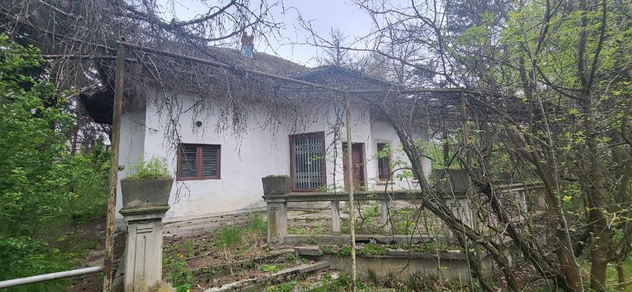 TEREN DE VÂNZARE – 25.844 MP – DJ 601 CIOROGÂRLA, ILFOV