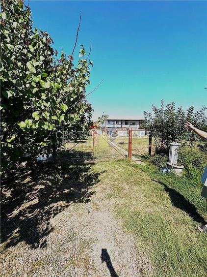 Constructie 2018, 5 camere, Parter + Pod Inalt, teren 3789 mp, Lacu Sarat - 24