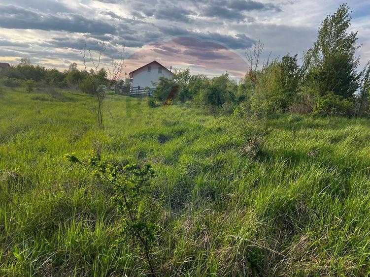 De vanzare | Teren intravilan 525mp in Teghes, comuna Domnesti, Ilfov