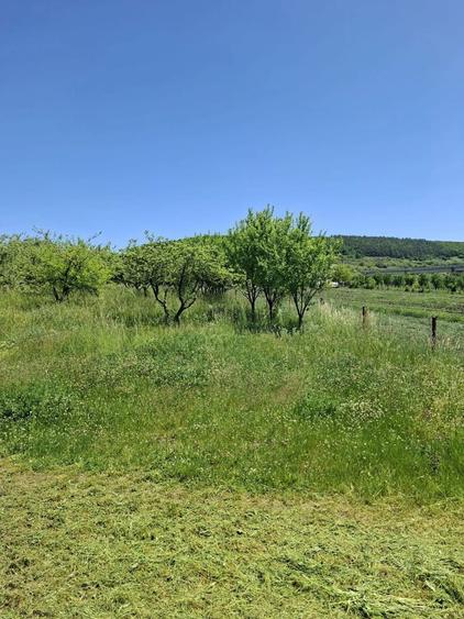 Teren de vanzare in Valcele
