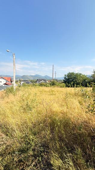 ZONA CASTEL TRANSILVANIA -str. VRANCEI -casa parter la rosu cu teren 1678mp!