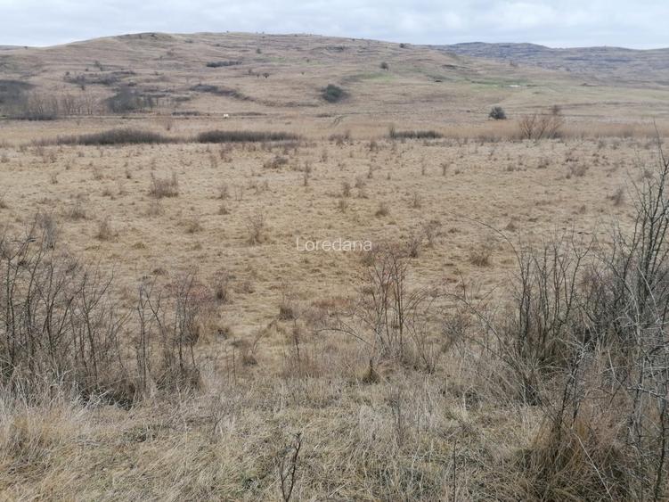 Teren agricol extravilan in Feiurdeni cu acces din Câmpenești. S=10300mp+2300mp - 5