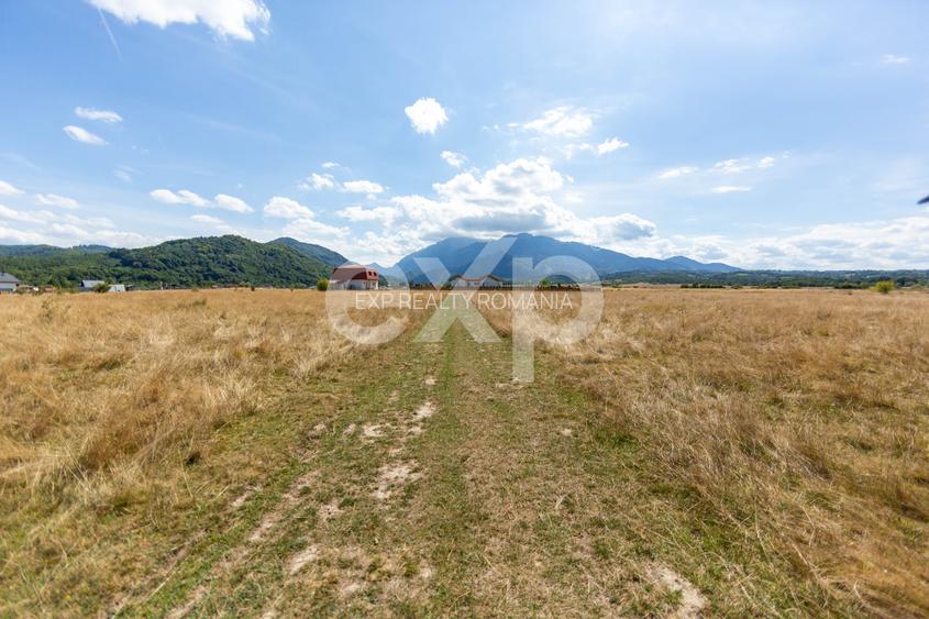 4.260 mp intravilan | 4 loturi | Valea Glăjăriei – Râșnov | 40 €/mp - 8
