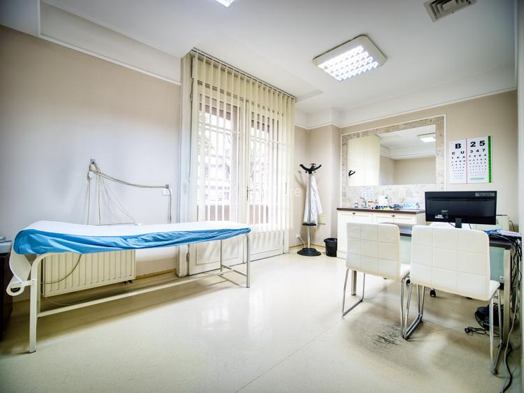 Vila interbelica emblematica de vanzare in centrul Timisoarei - 11