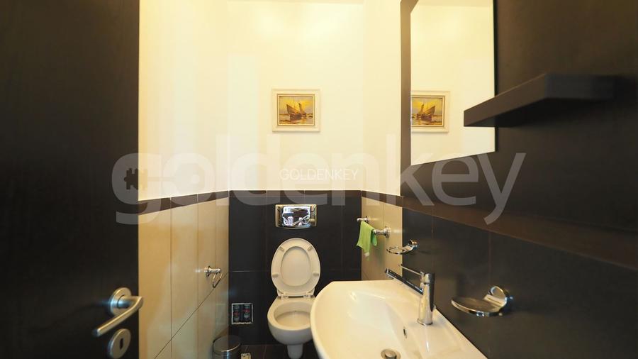 Apartament cochet cu 3 camere langa parc - Sat Francez - 7