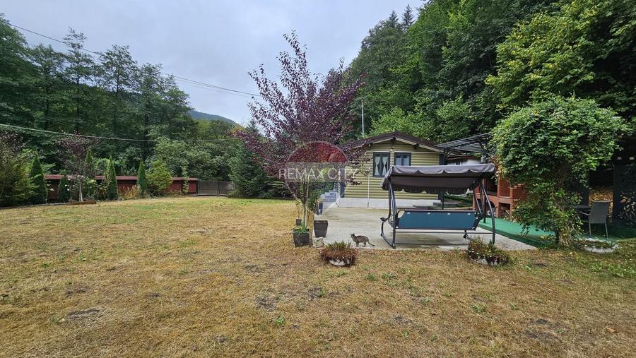 Căsuță de vacanță de vânzare – comuna Alexandru cel Bun, Neamț - 37