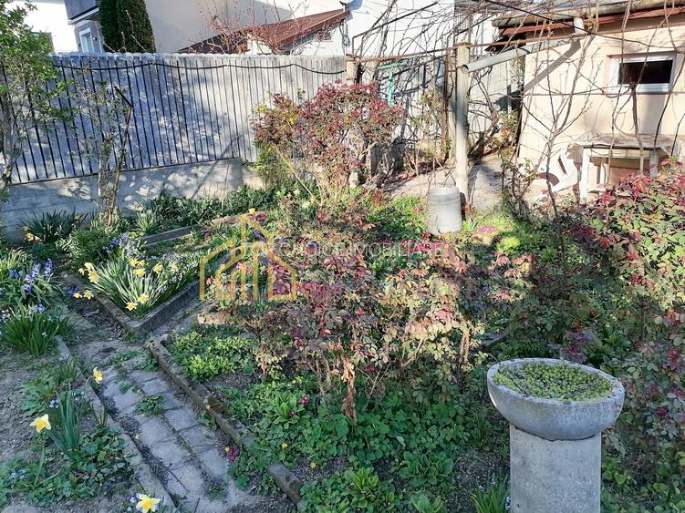 CASA 3 CAMERE SI CURTE - GIULESTI STRADA ARTARULUI - TEREN 296 MP - 7