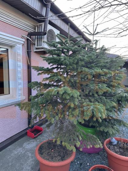 Casă 3 camere de vânzare în Palas – 92 mp utili, teren 200 mp