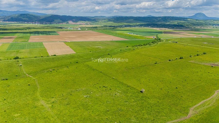 Teren de investiție în zona Tohanul Nou - Bran  5.800 mp - 15