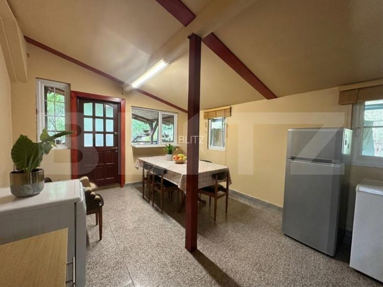 Gospodărie cu 10.900 mp teren, 3 constructii, Cainelu de Sus
