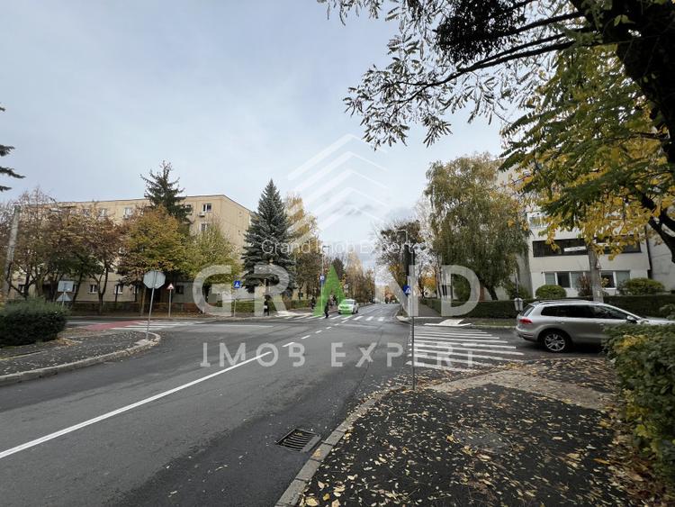 Garsonieră luminoasă cu balcon | Zorilor–Str. Louis Pasteur - 23