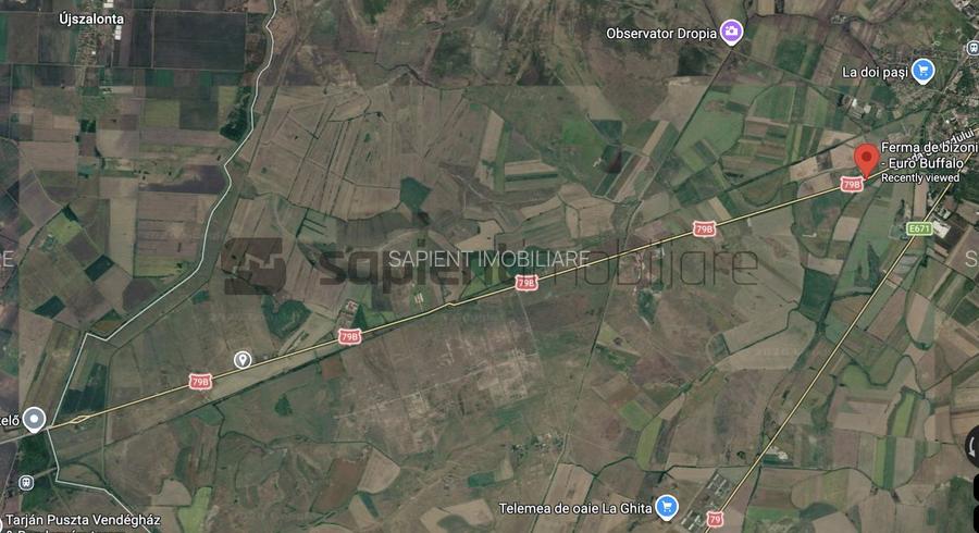 De vânzare teren extravilan, 11,600 mp, Salonta - 3