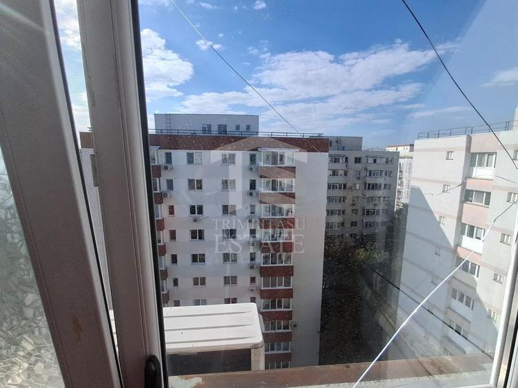Teiul Doamnei- Apartament 2 camere decomandat | Etaj 10/10