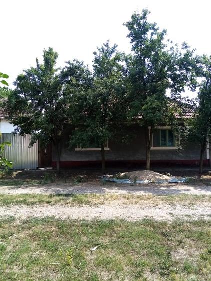 Vand casa cu 3 camere in Zerindul Mic Comuna Misca Jud ARad