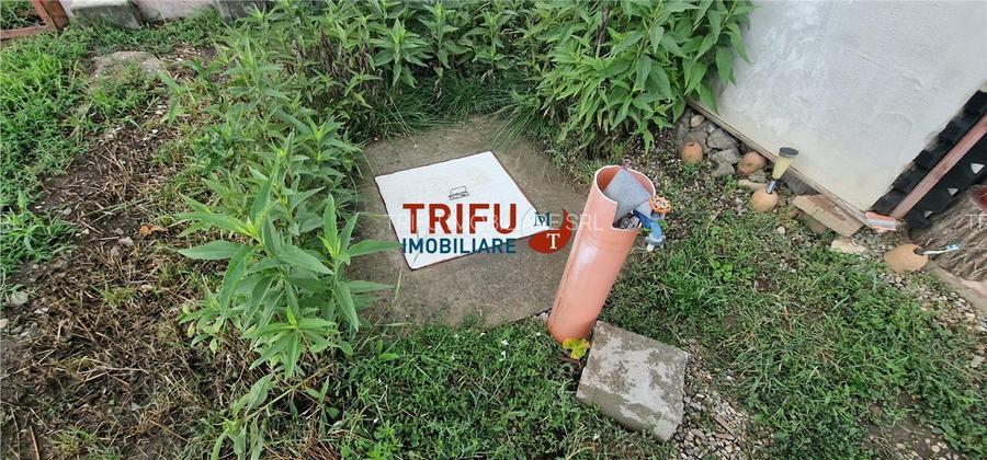 Oportunitate de Investiție: Teren 24000mp Intravilan Construibil în Ga - 12