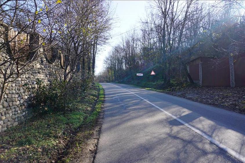 Teren de vanzare in Leamna de Jos