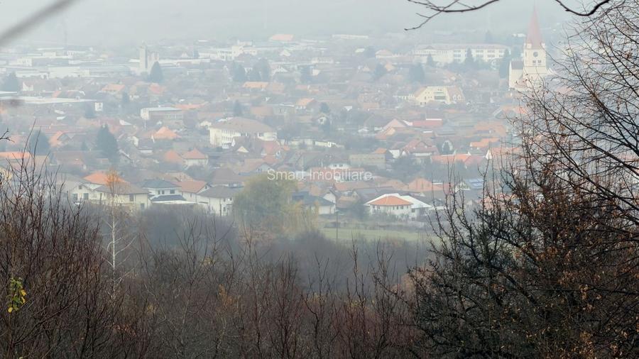 Teren deosebit 3,5HA zona Cisnadioara - 4