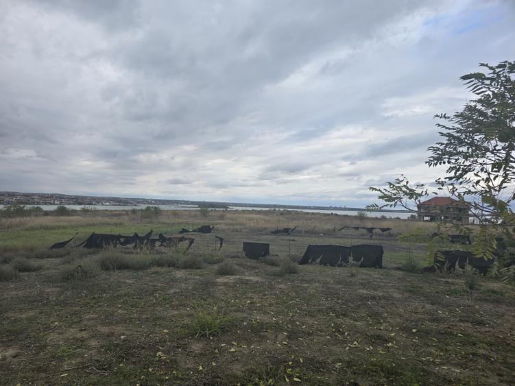Teren de vanzare in Palazu Mare