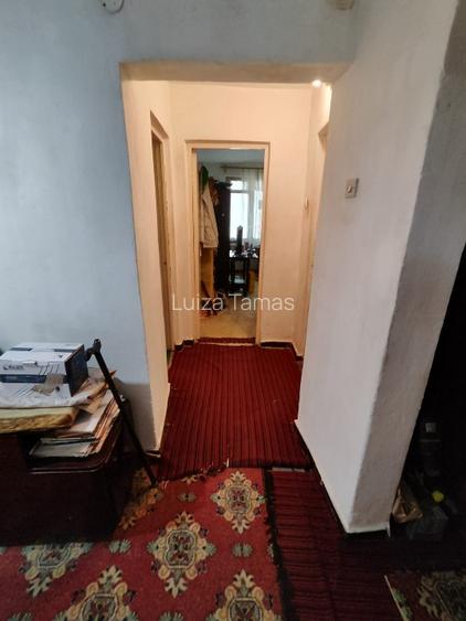 Apartament 5 camere ,parter  - 10
