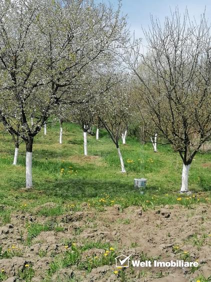 Casa de vanzare – Sat Elciu, com. Panticeu