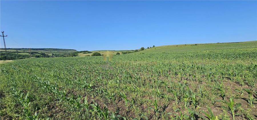TEREN INTRAVILAN 5800 MP SUCEAGU