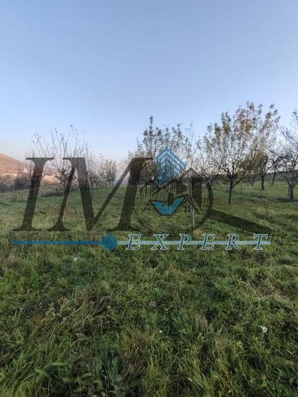 Teren intravilan în Paclisa 1785mp.
