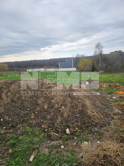 Casa Horodnic | 50 Ari | Complet Mobilată - 6