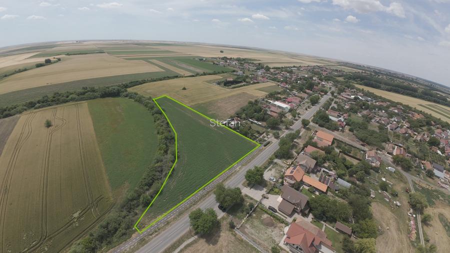 Teren intravilan Zadareni-Bodrogul Nou 8000mp 141m front - Soseaua principala - 3