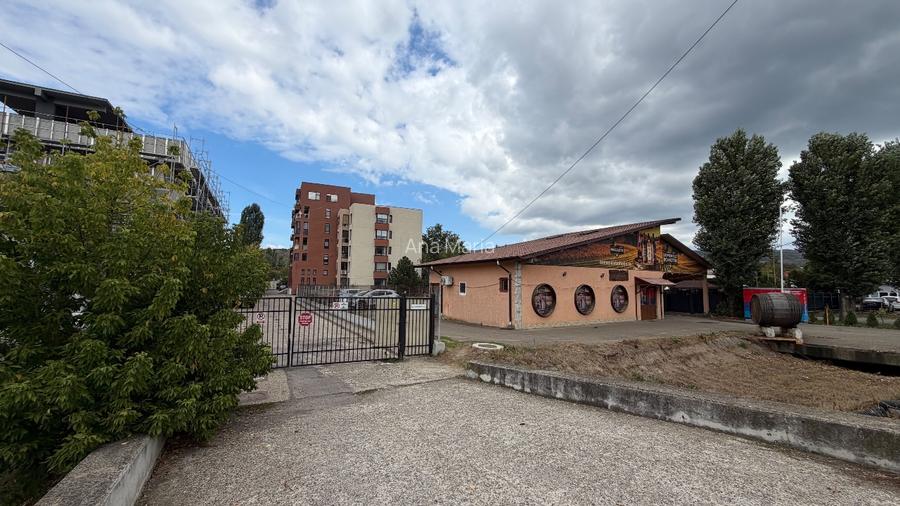 Apartament tip LOFT nou renovat cu parcare și curte privată  - 11