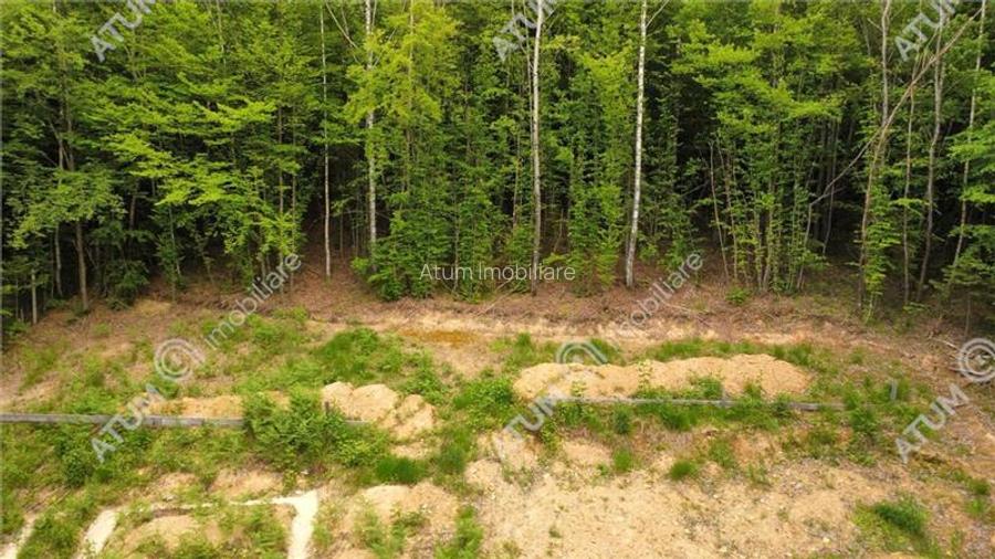 Teren intravilan 3000 mp in Porumbacu de Sus din Sibiu - 10