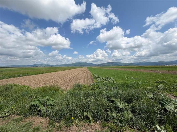 Teren extravilan 10.000 mp - Ieșire Prejmer spre Cărpiniș