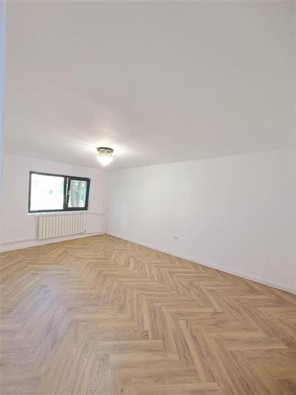 Apartament o camera, Spatiu comercial- Nicolina