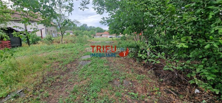 Oportunitate de Investiție: Teren 24000mp Intravilan Construibil în Ga - 9