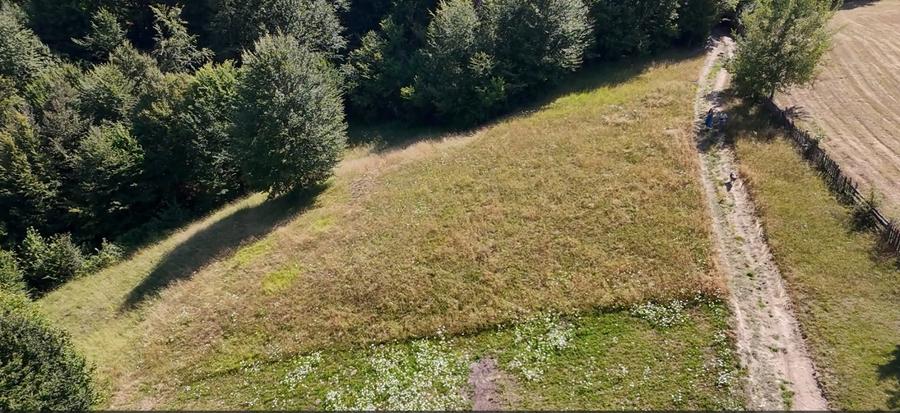 Teren 5000 mp, pretabil cabana de weekend, Sinca Noua