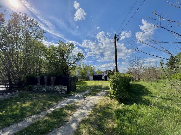 Teren de vânzare – Valea Avrigului, jud. Sibiu | 1.600 mp - 7