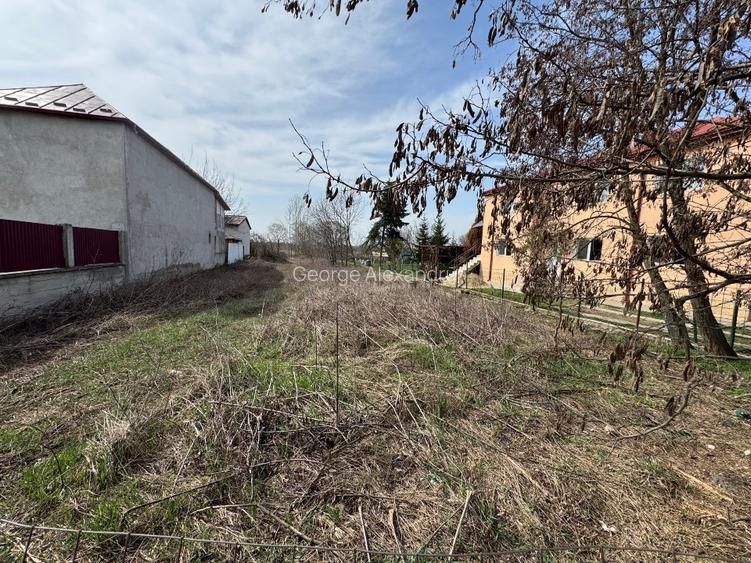 Teren pentru casă / case  stradal / utilități Dragomirești  - 7